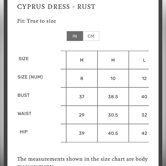 Petal & Pup Rust colored Satin Dress Size 8 - Picture 13 of 13